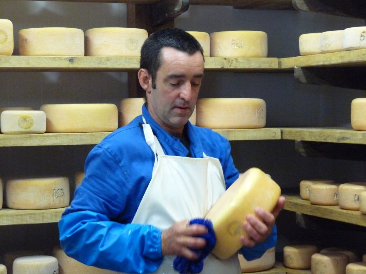 Ferme Estrabou - OQD Vaches