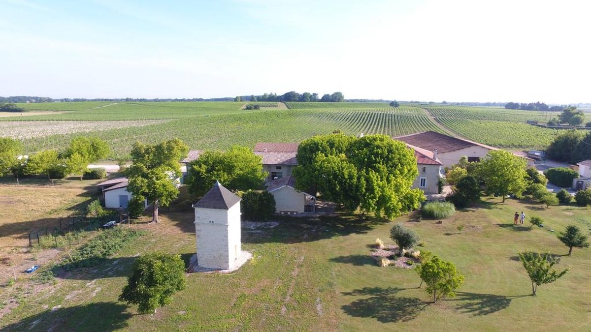 Château Pierre de Montignac