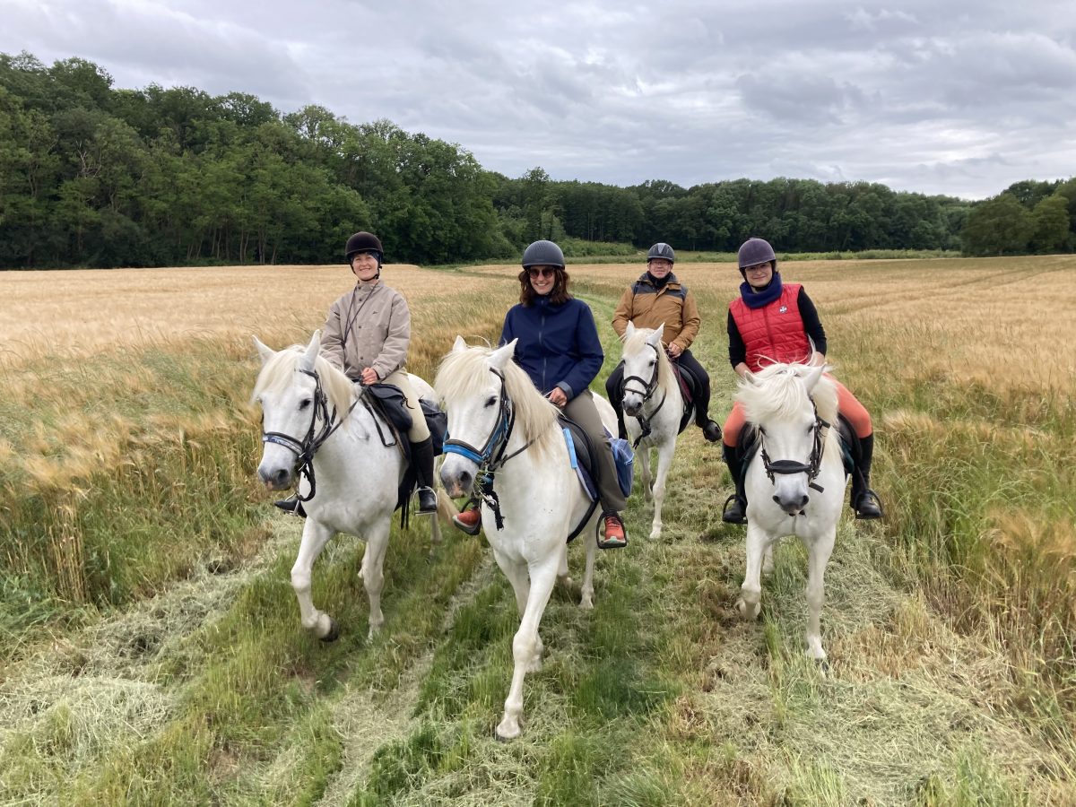 Rando Camarguaise