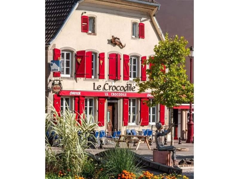 Le crocodile