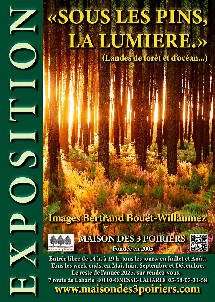 Maison des 3 Poiriers - Galerie de photographies de la forêt Landaise et de l’Océan.