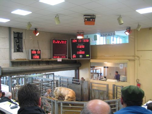 Visite Guidée Couplée du Musée de l'Elevage et du Charolais et du Marché au Cadran