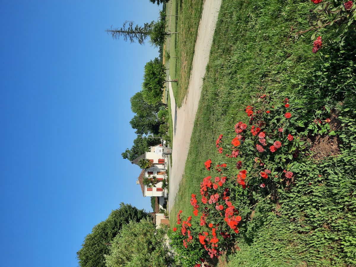 Château Lussan