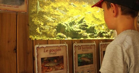 Aquariums du Lavoir