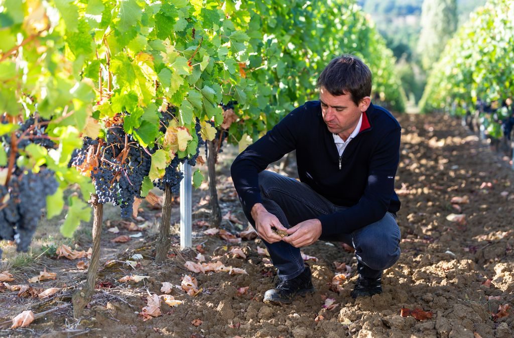 VIGNOBLES DUBARD