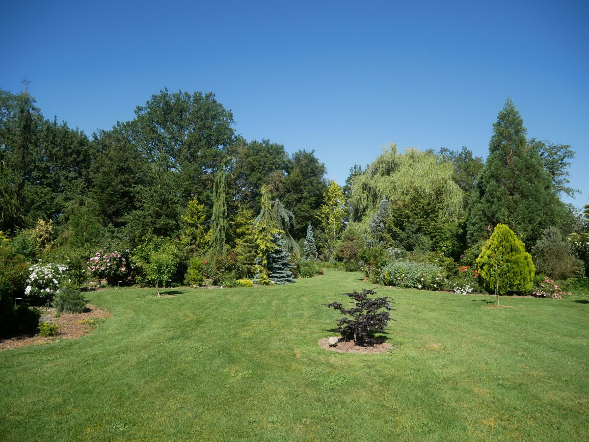 Arboretum Les Feuilles Fleuries / parc et jardin Nevers/St Eloi