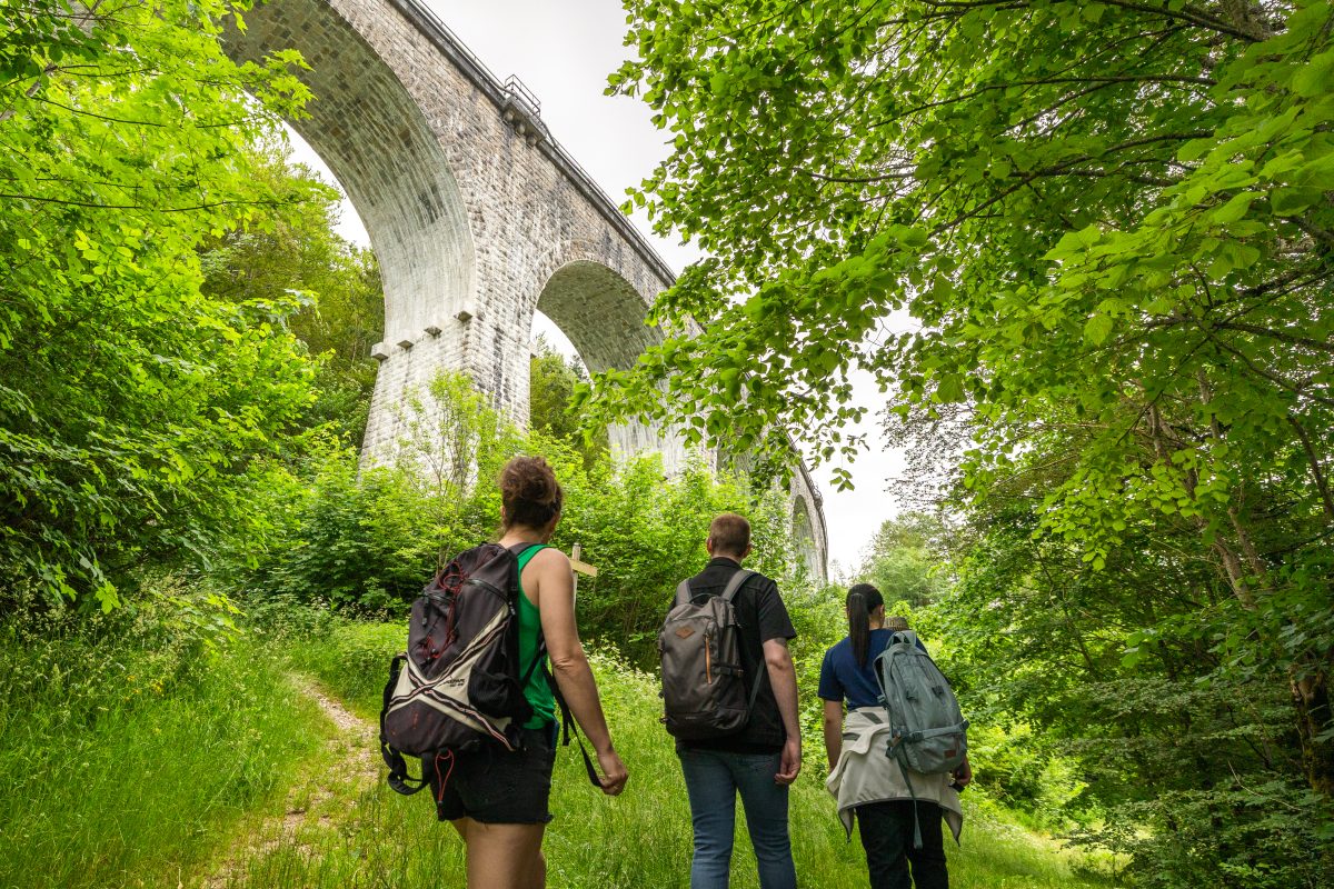 Excursion Ligne des Hirondelles : À l'Assaut des Viaducs