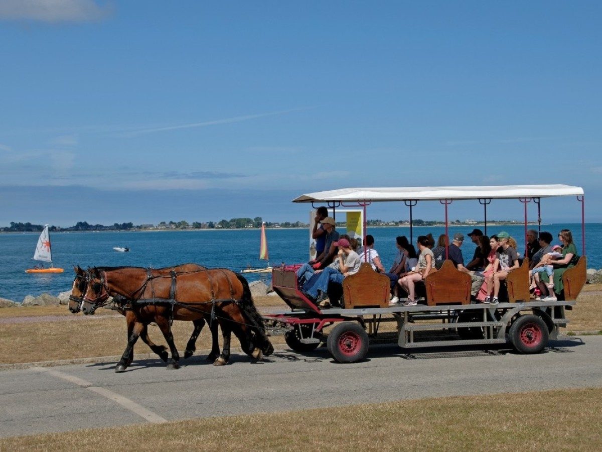 Attelage et Patrimoine en Cotentin