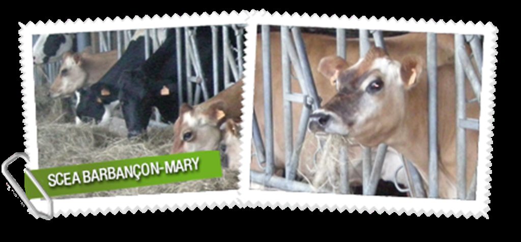 SCEA Barbançon-Mary