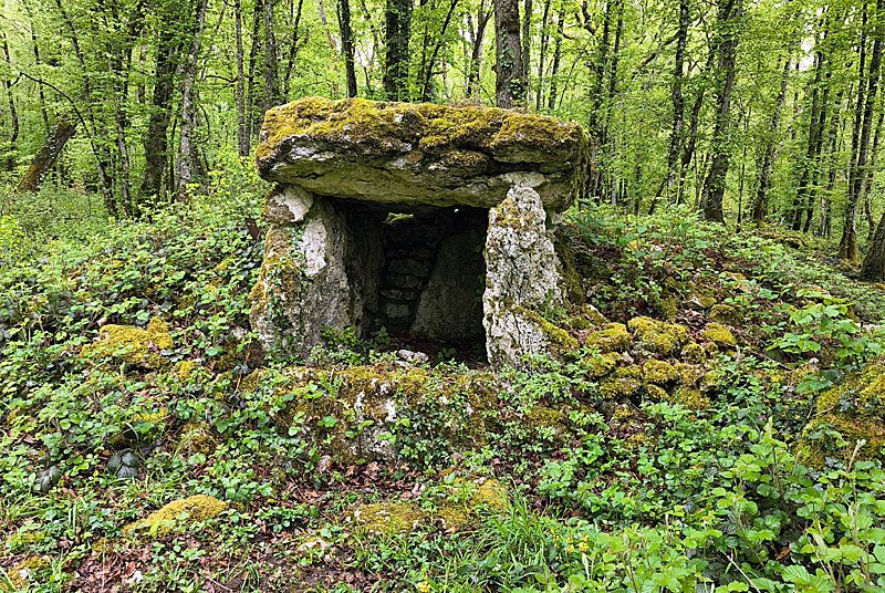 Site Néolithique de Fort Bévaux