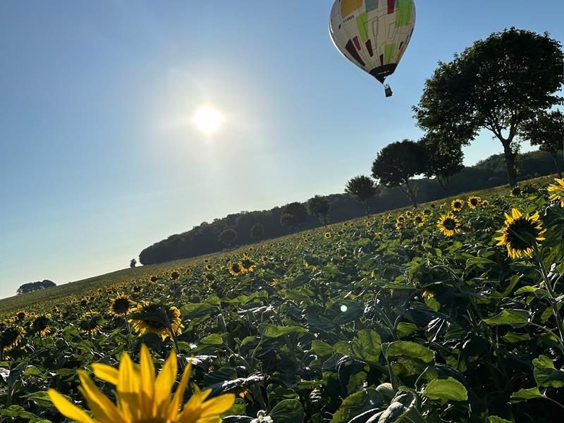Fly Montgolfière