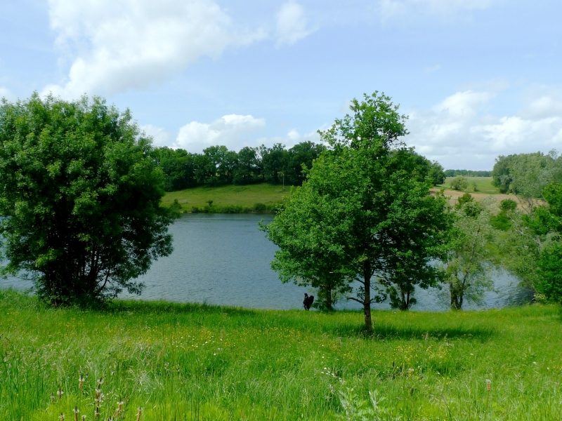 Étang Saint-Michel