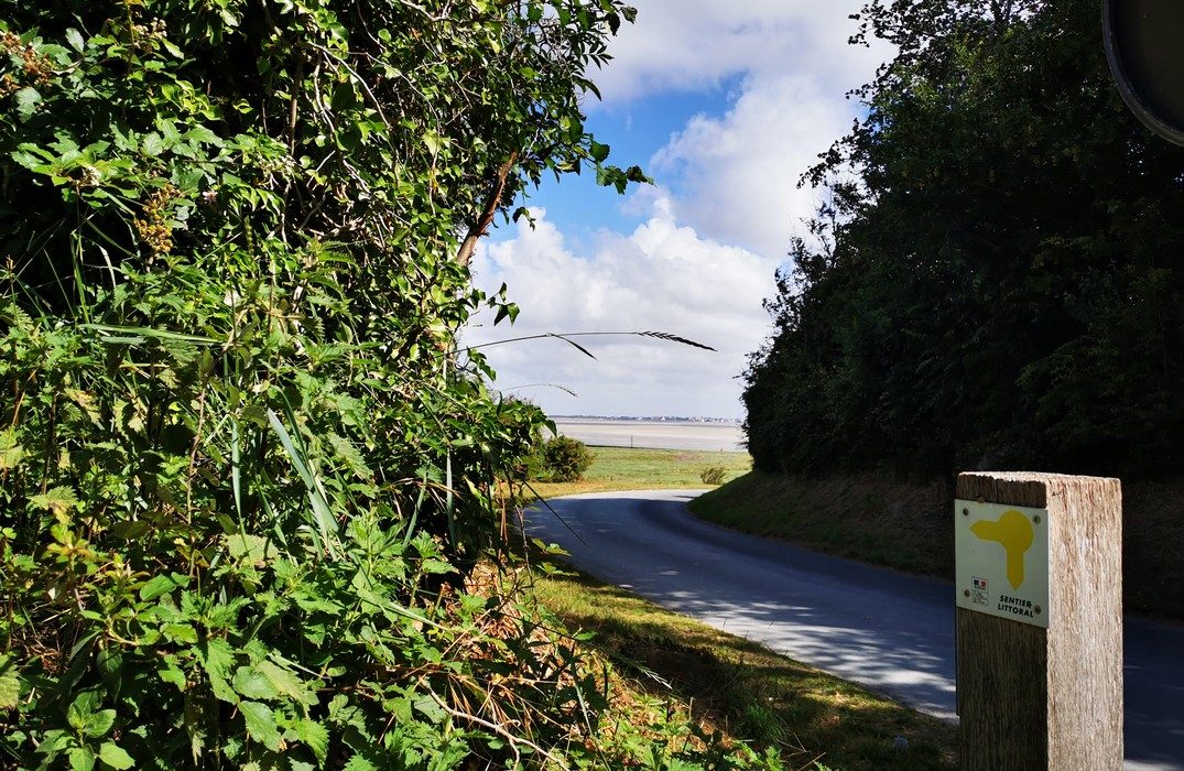 Location de vélo - Cap Hornu