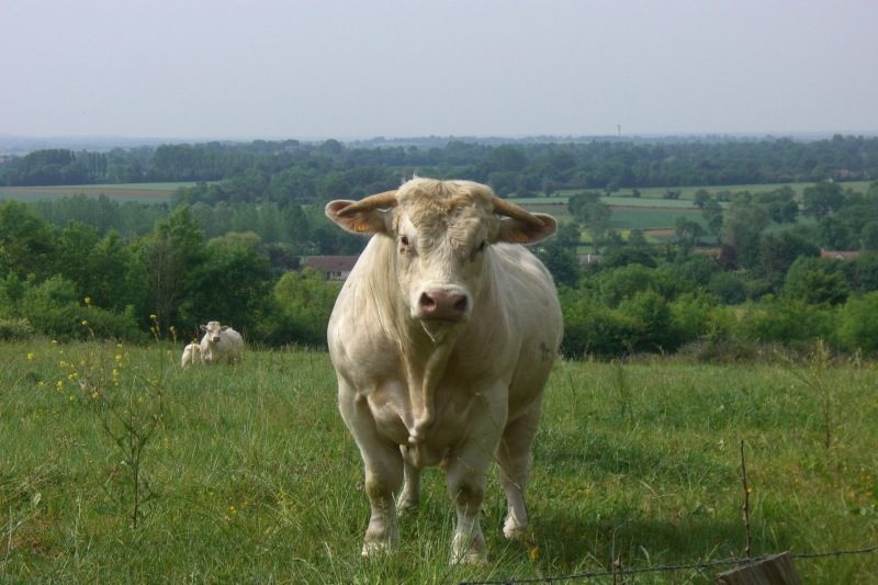Ferme de Busserolles