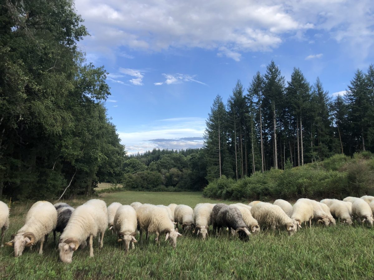 La Ferme de Ventadour