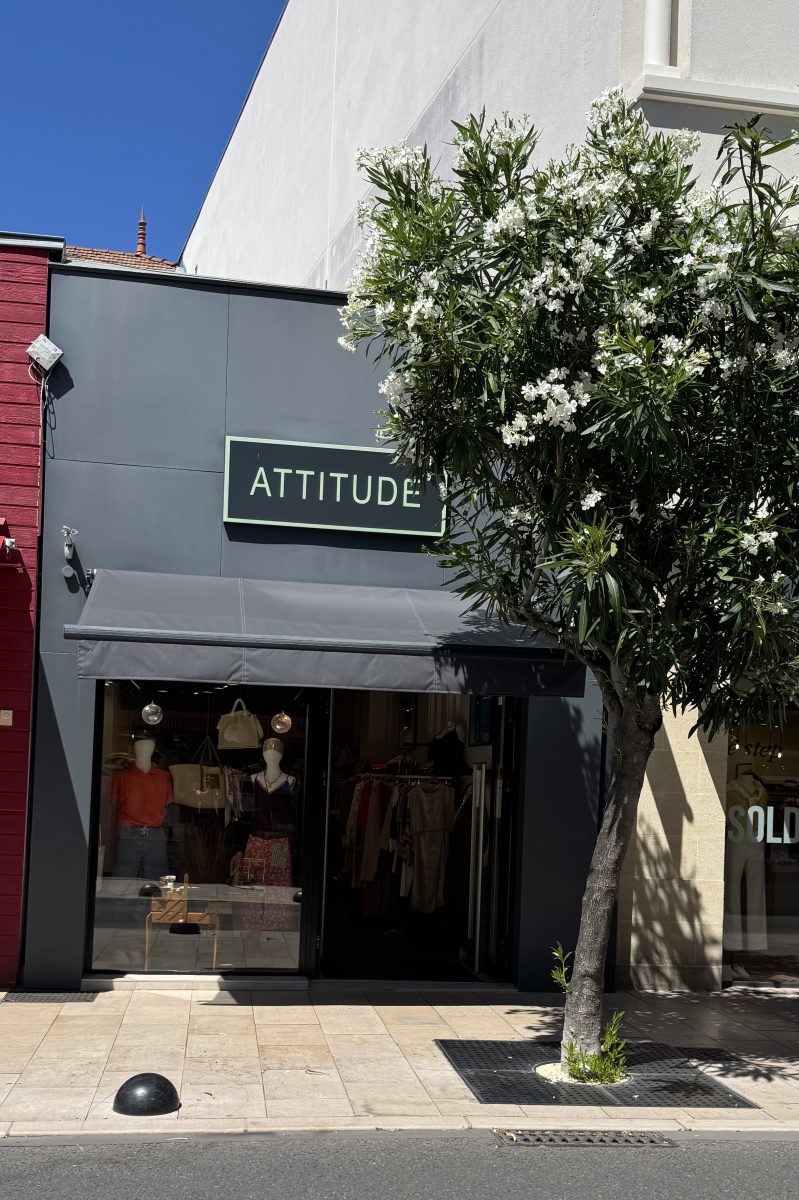 Attitude