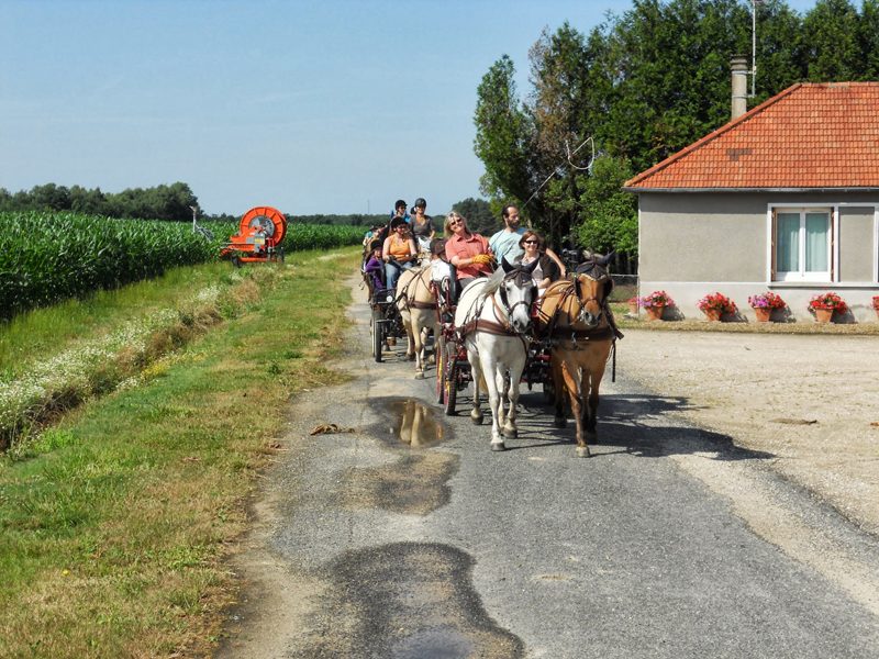 Centre de Tourisme Equestre - Attelage Plaisir