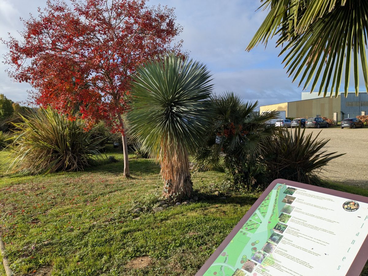 Arboretum