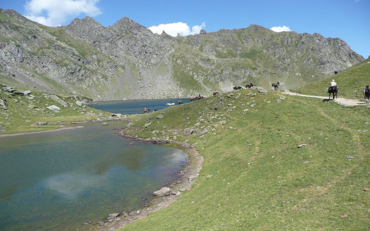 Chevauchée Pyrénéenne Les chevaux d'Ossau - Accompagnateur équestre