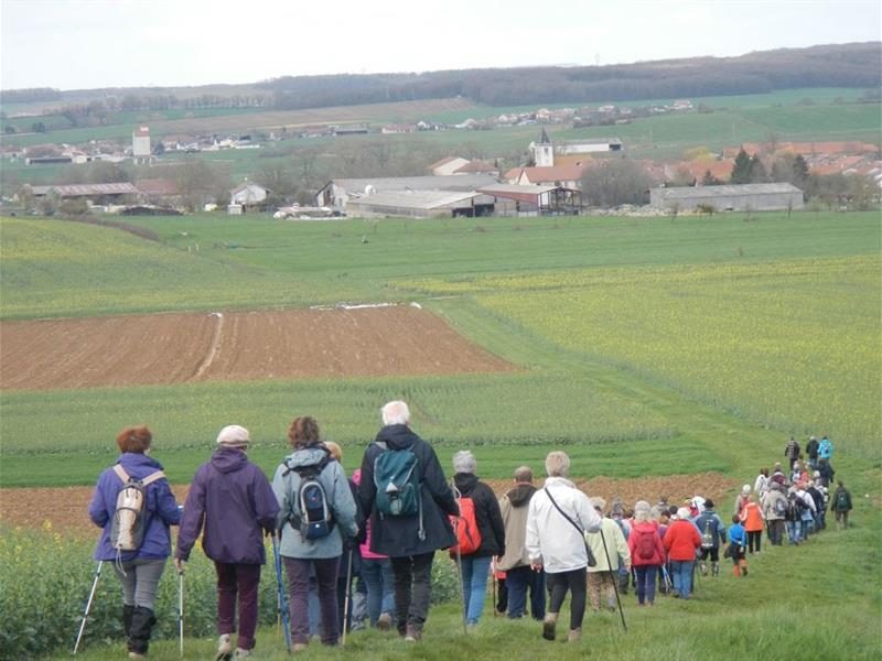 Les randonneurs du sânon et du lunévillois