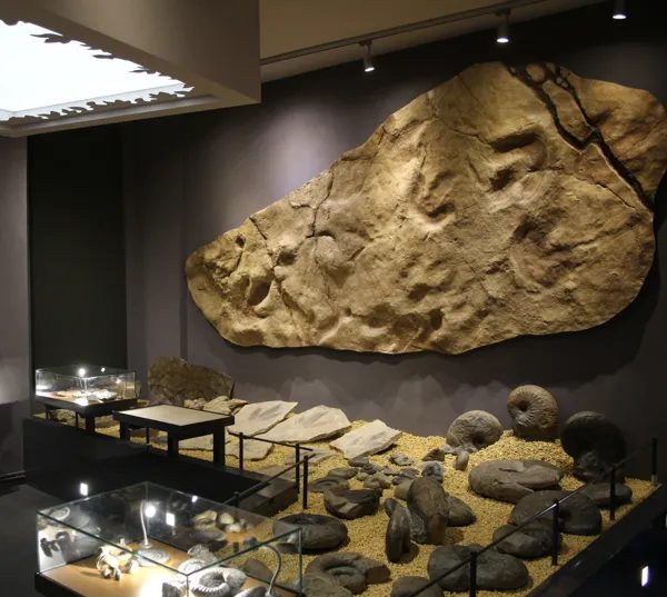 Musée de Millau Grands Causses - MUMIG (Groupes)