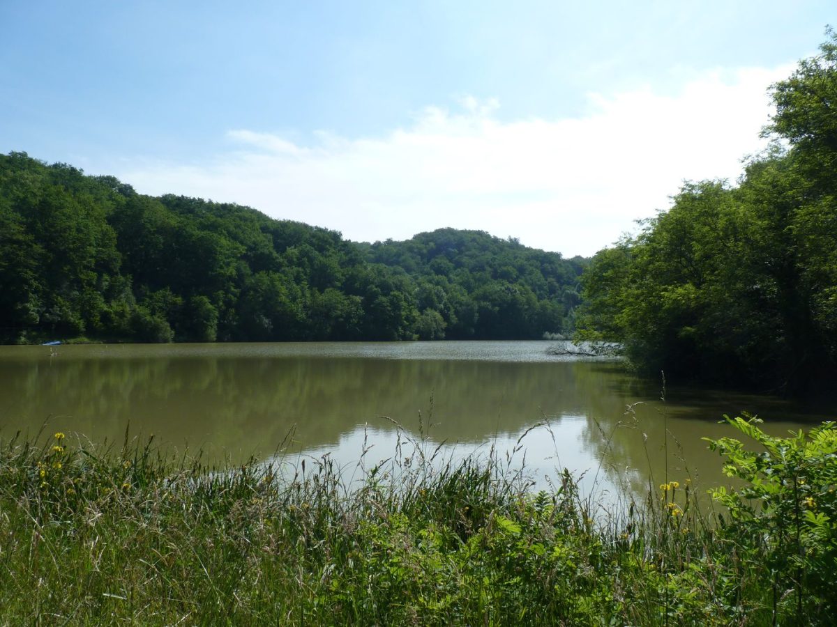 Lac