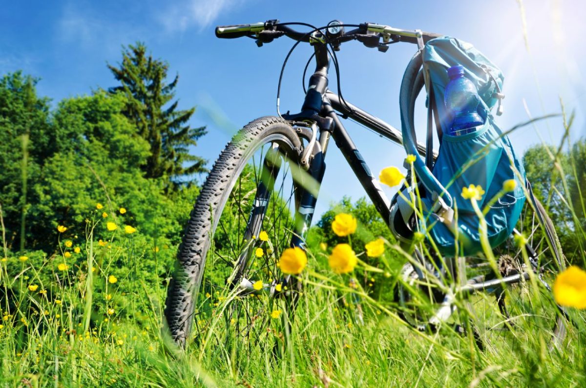 CYCLO JOINVILLE EN CHAMPAGNE