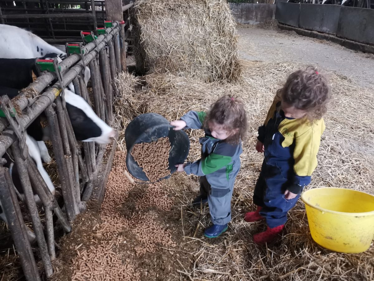 Ferme pédagogique de Feings