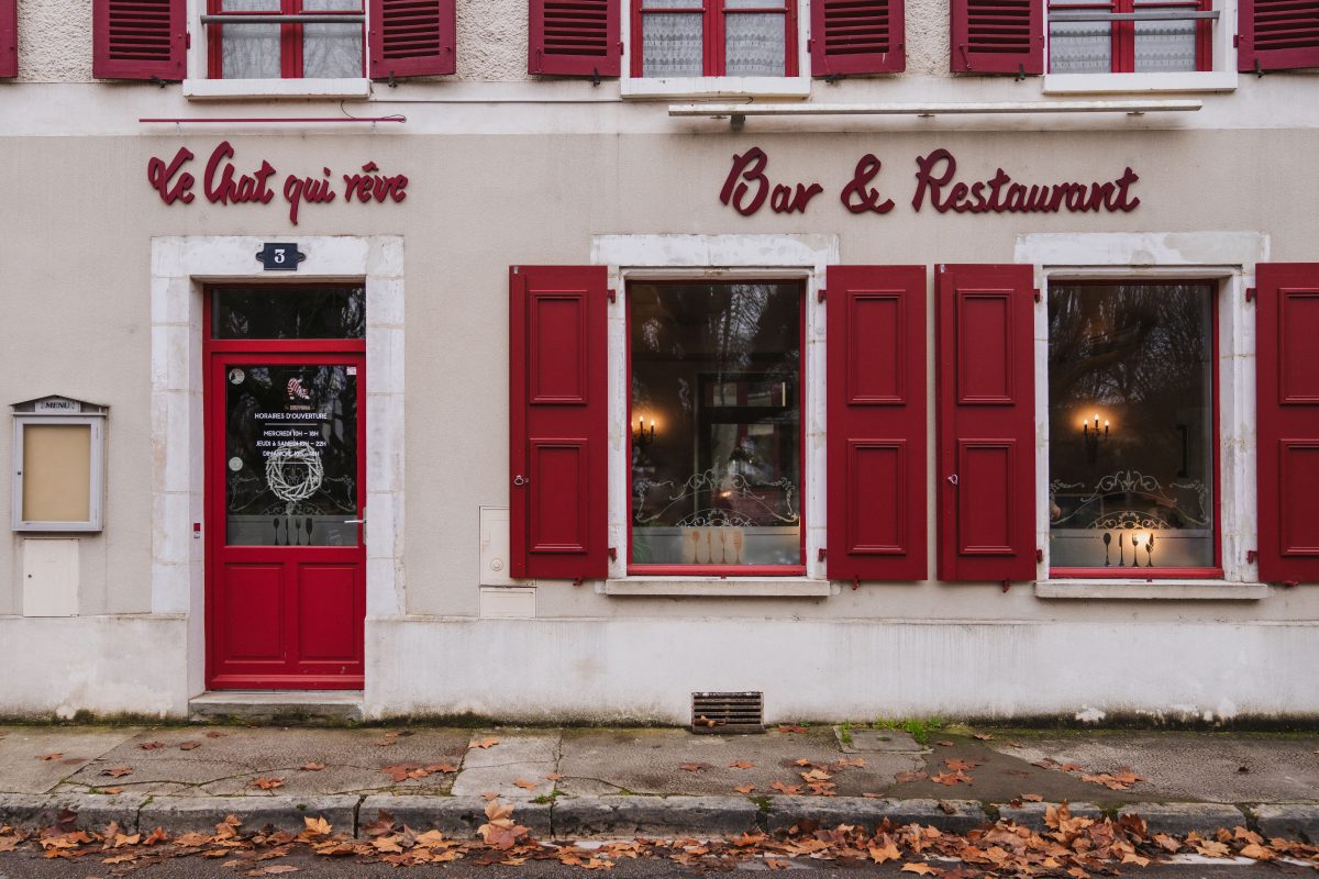 Le Chat qui Rêve