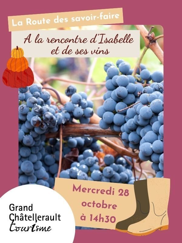 A la rencontre d'Isabelle et de ses vins