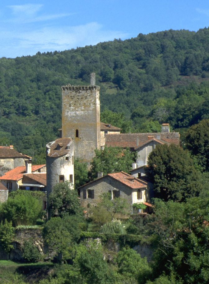 Vestiges du Fort Médiéval