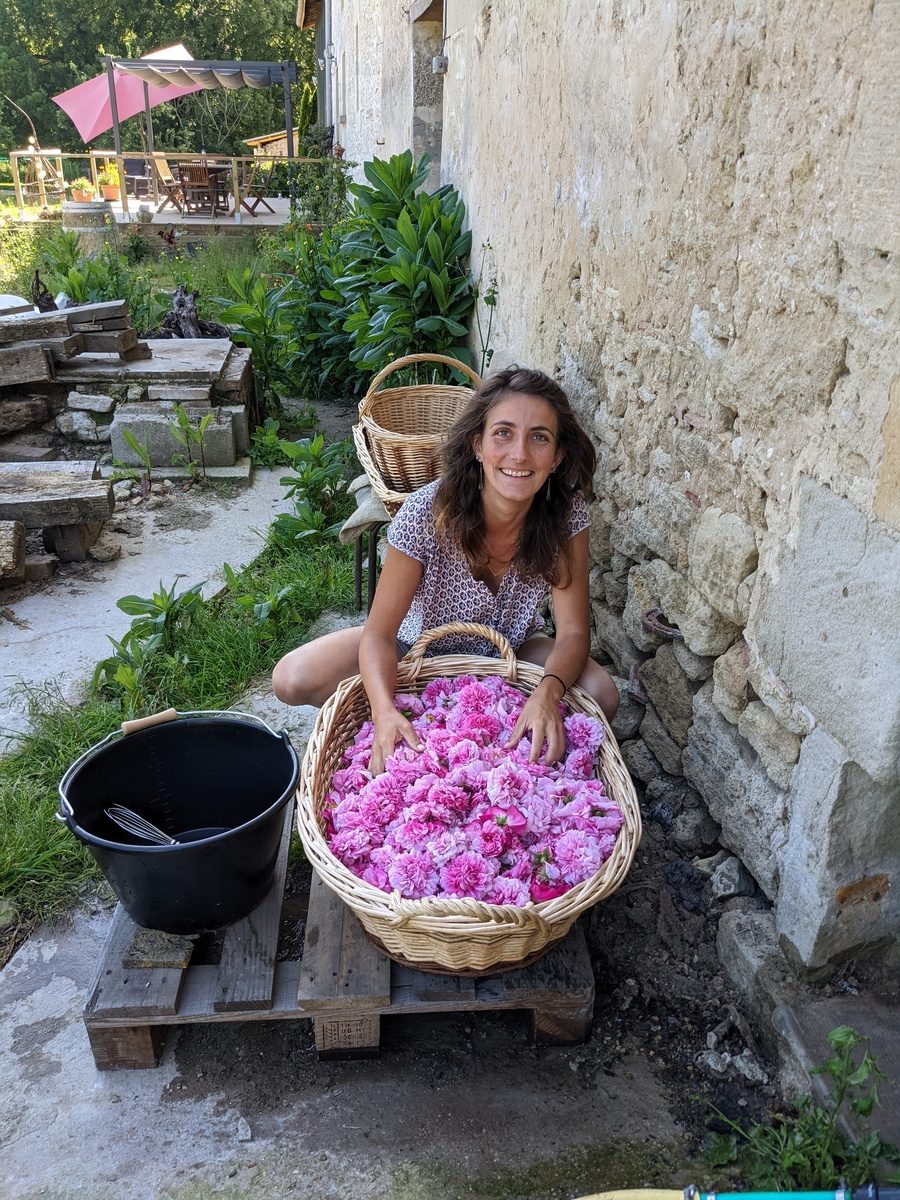 Les vagabondes - Production de plantes aromatiques et médicinales