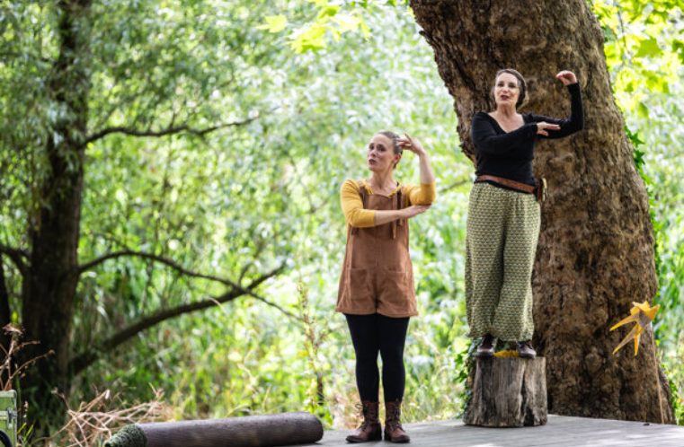 Festival du Nombril - Face aux arbres