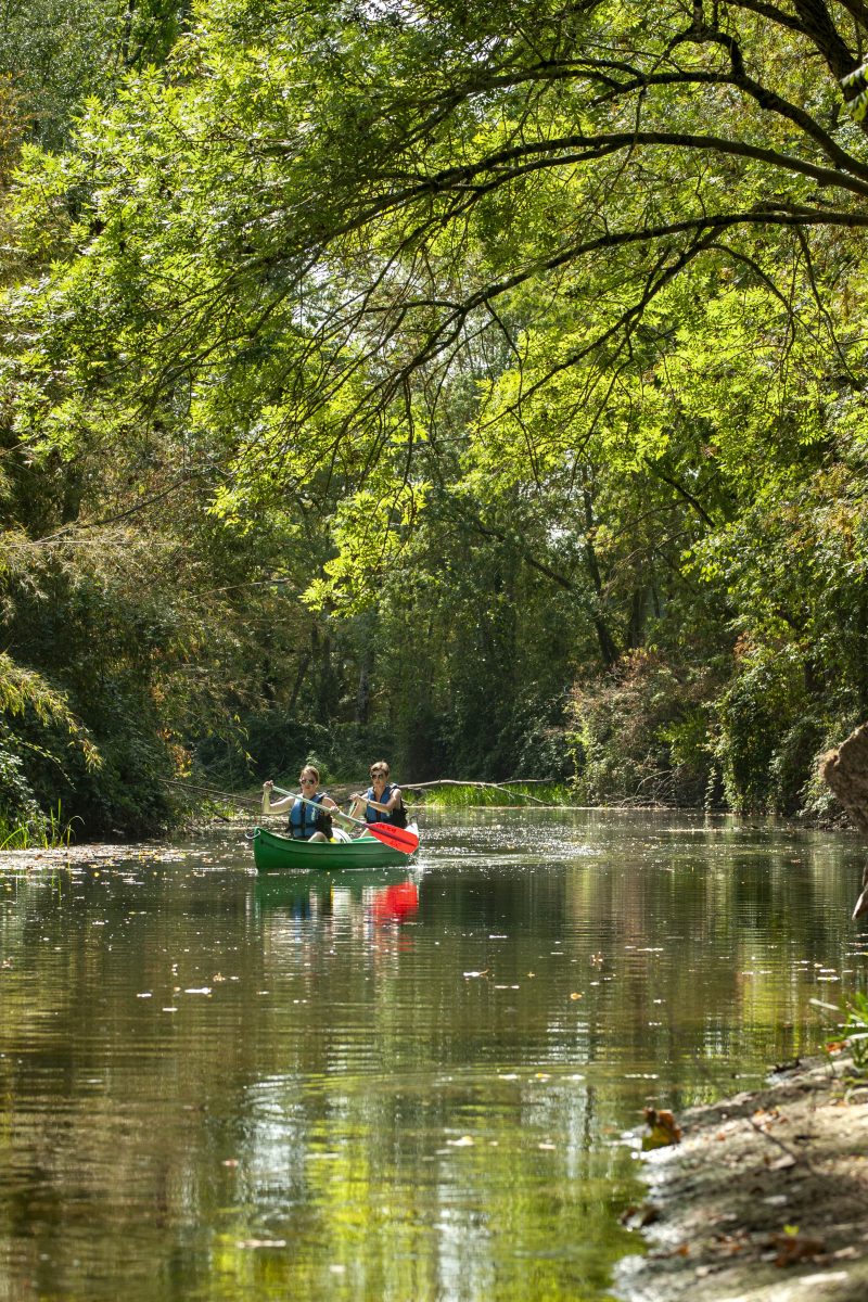 Balades en Canoë sur Le Cher