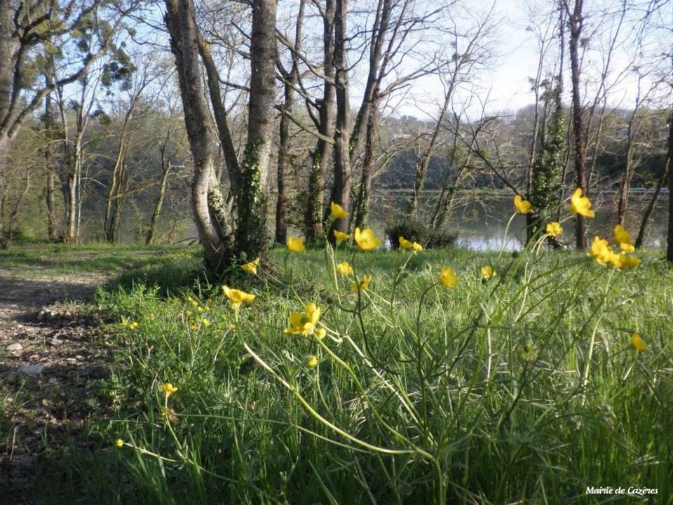 PARCOURS SANTE