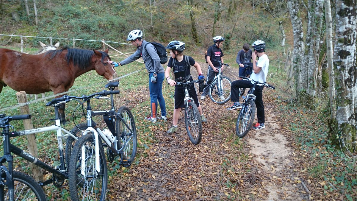 Dordogne Outdoor Experience - VTT Randonnée et Location