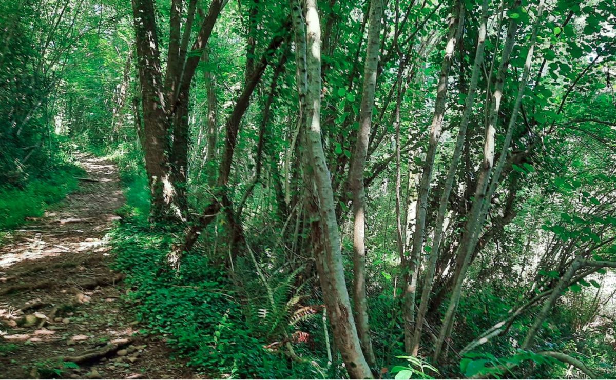 Géocaching Terra Aventura : l'aventure, c'est comme la garbure...