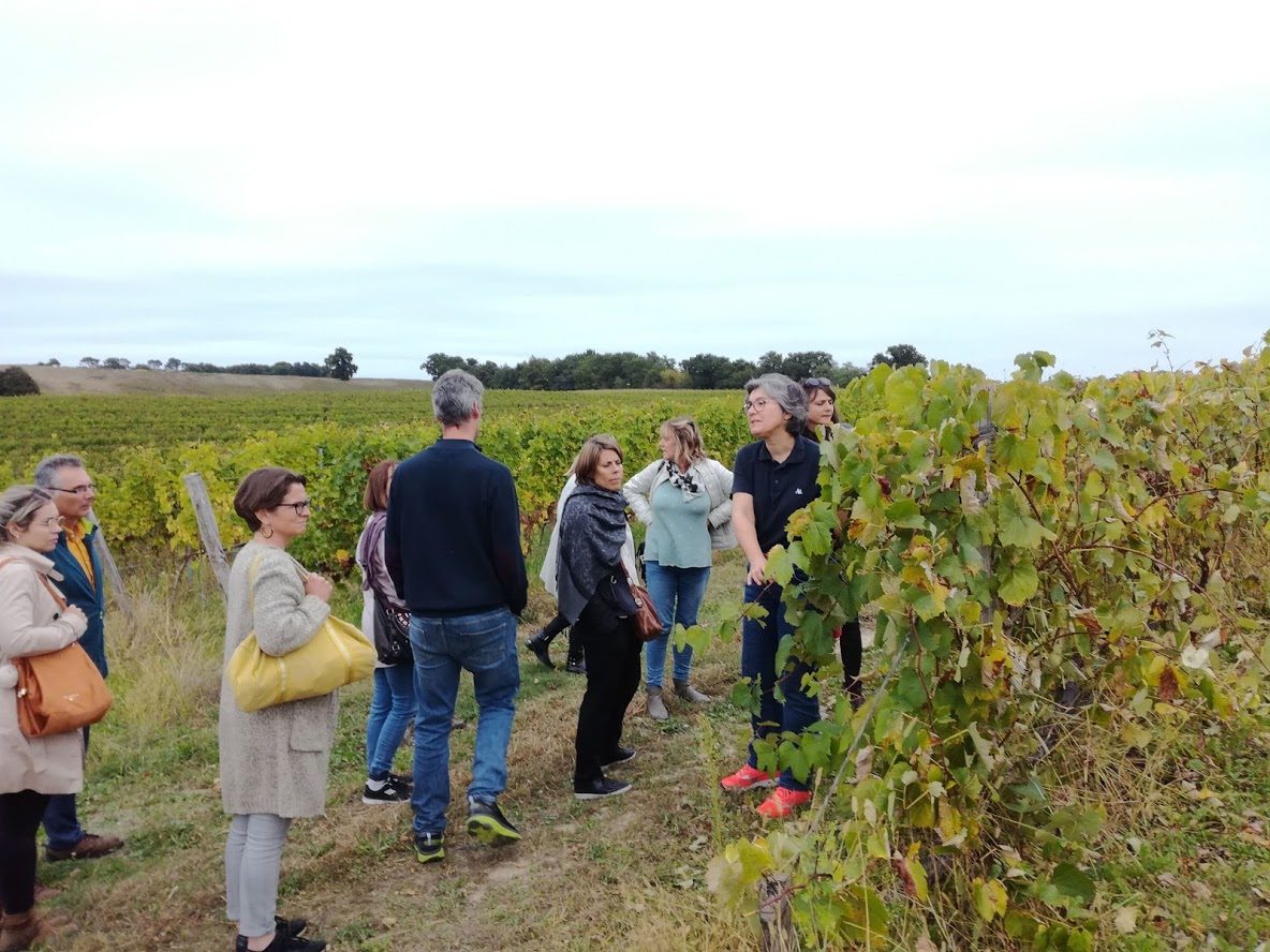 Domaine de Laubesse