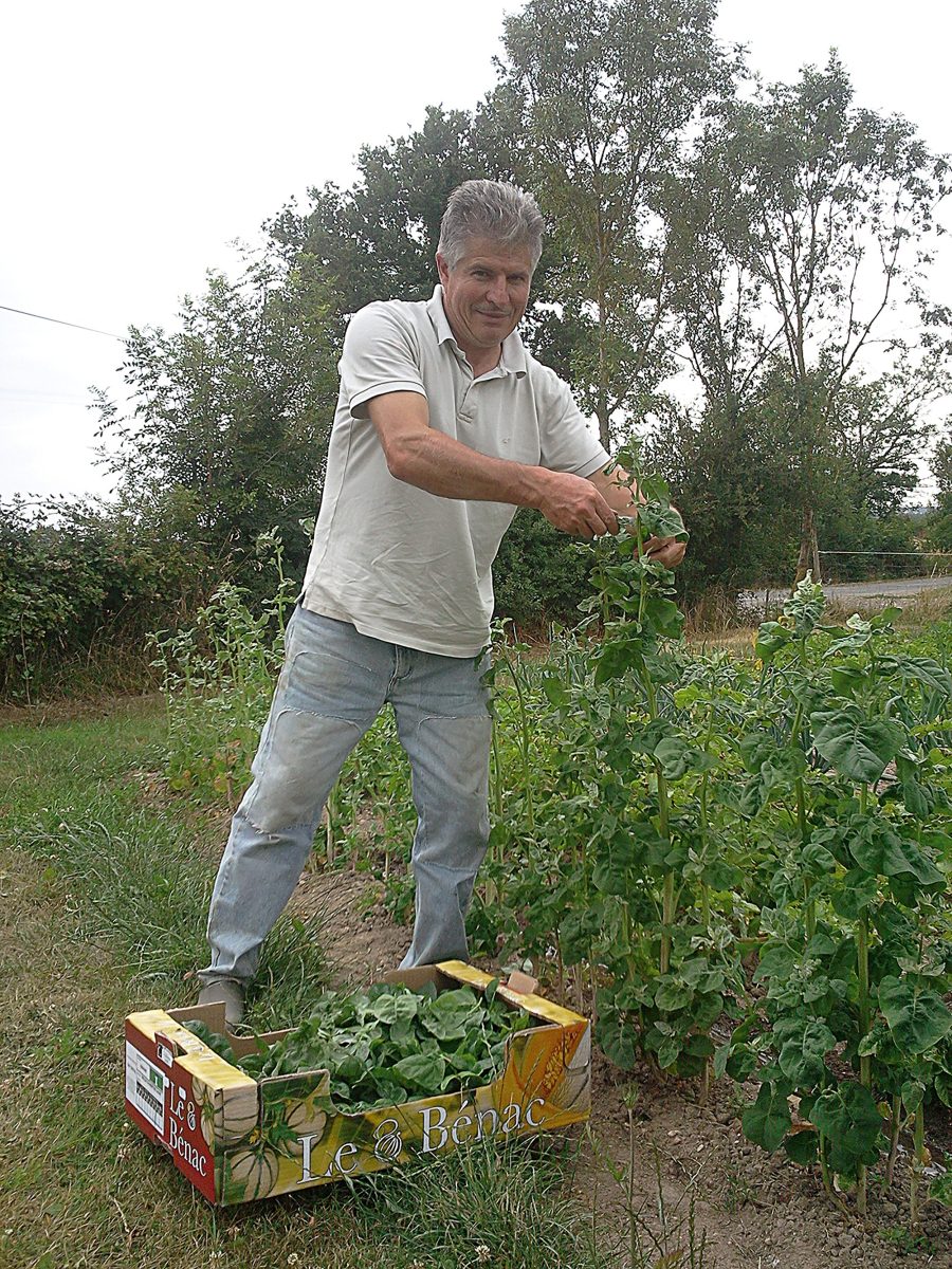 Eco Petit Grais