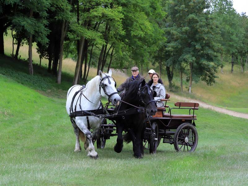 Bellême Attelages association