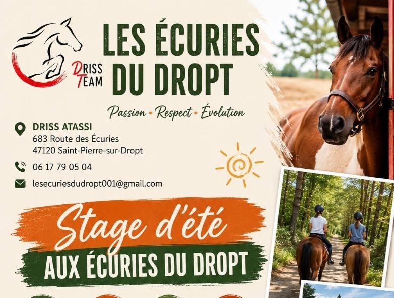 Cours privés ou collectifs, balades, stage d'été aux Ecuries du Dropt