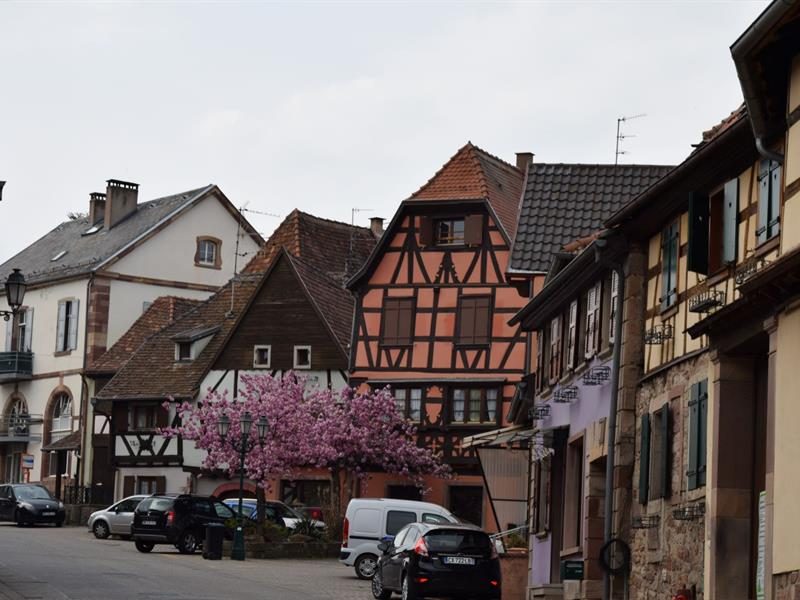 Maisons à colombages à Westhoffen