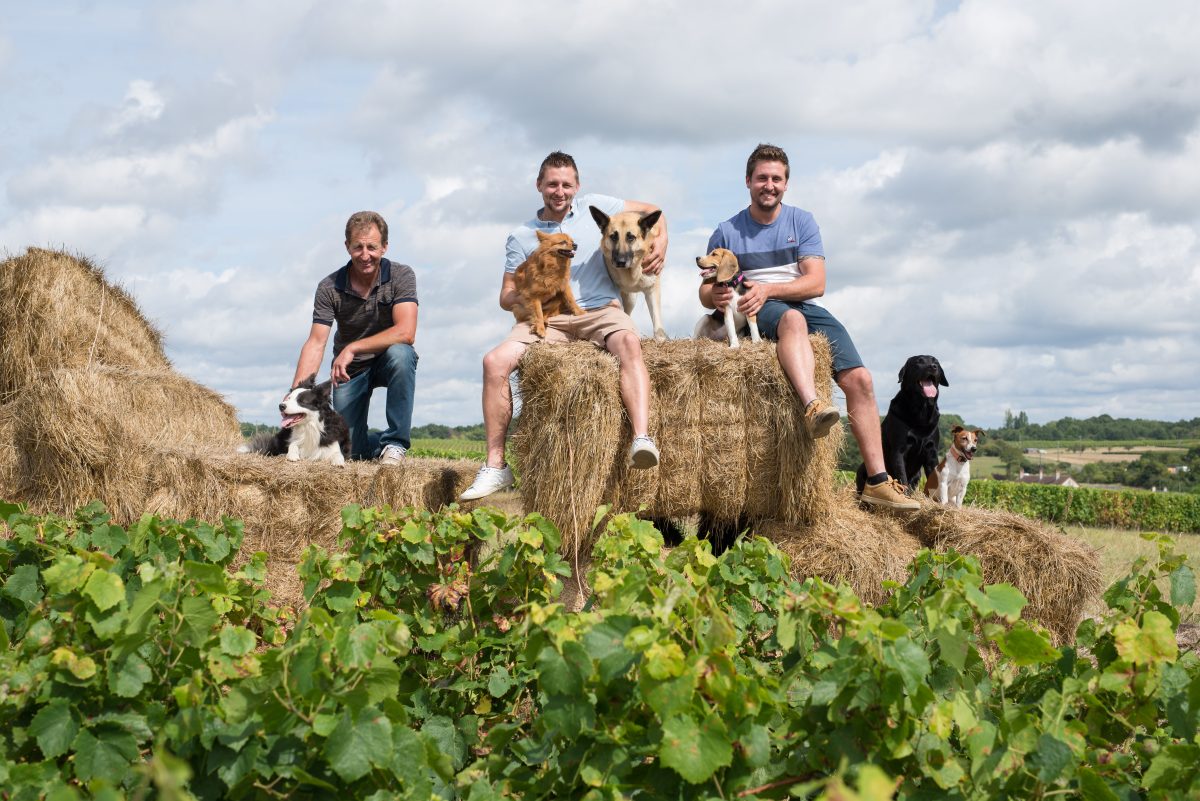 Domaine villemaine