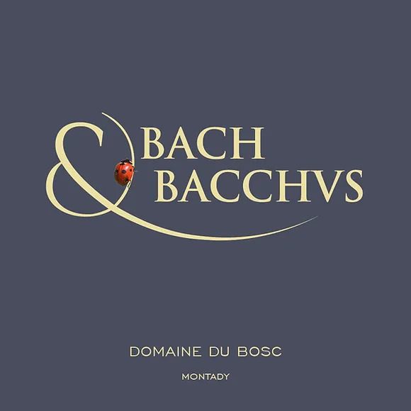 AUDITORIUM BACH & BACCHUS
