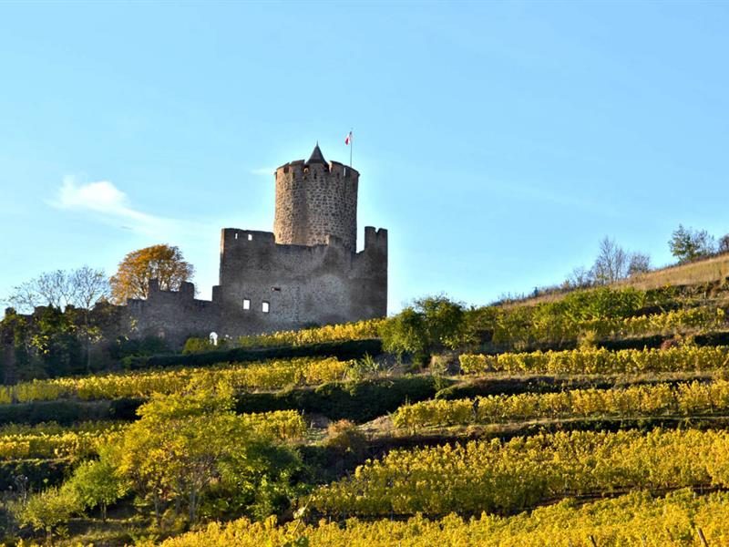Journées du patrimoine - Terrasses du château du Schlossberg