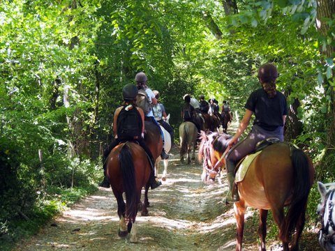 Poney-club de Sainte-Foy-la-Grande