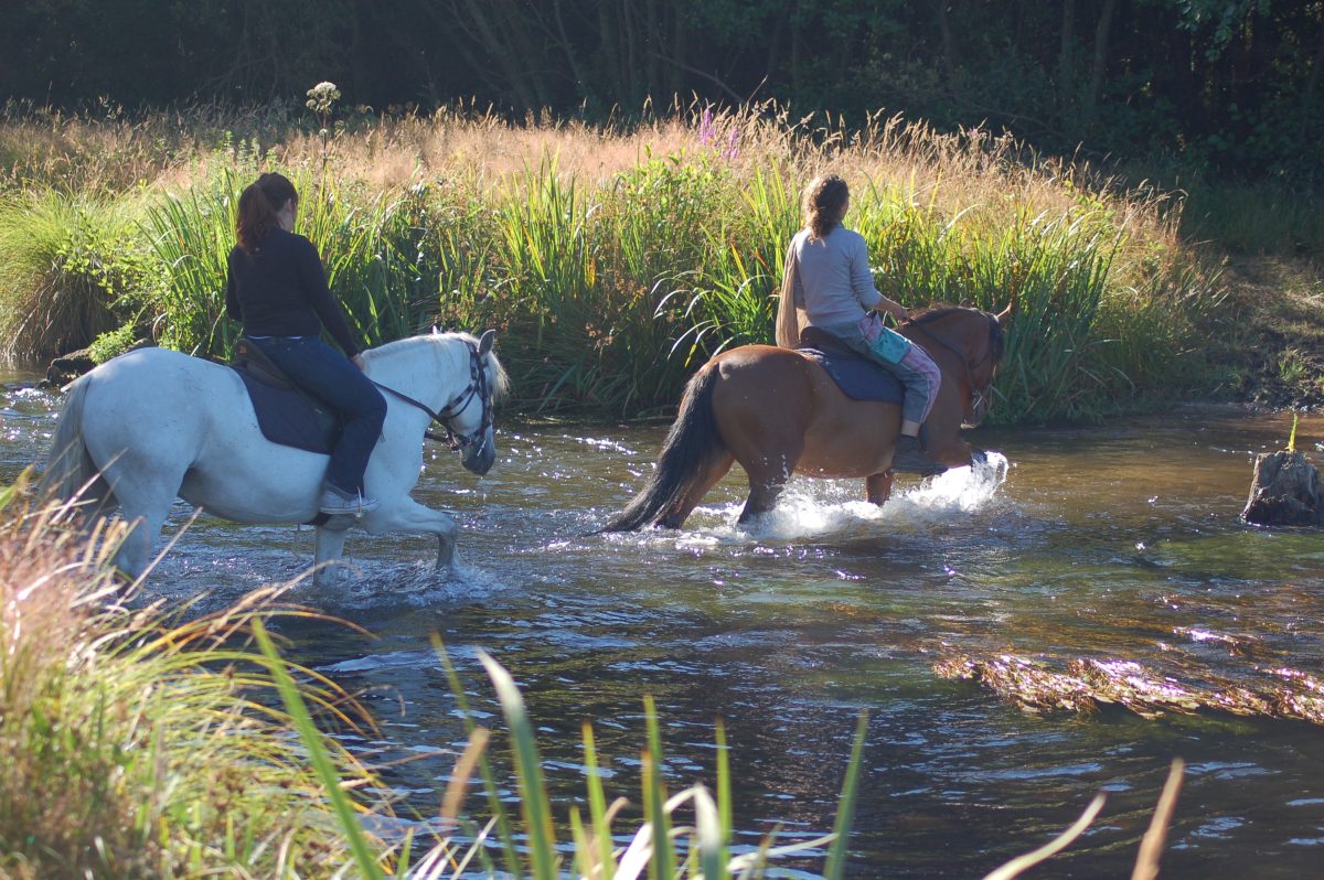 Centre Equestre Les Centaures