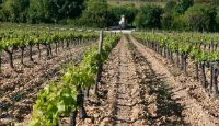 DOMAINE DECALAGE