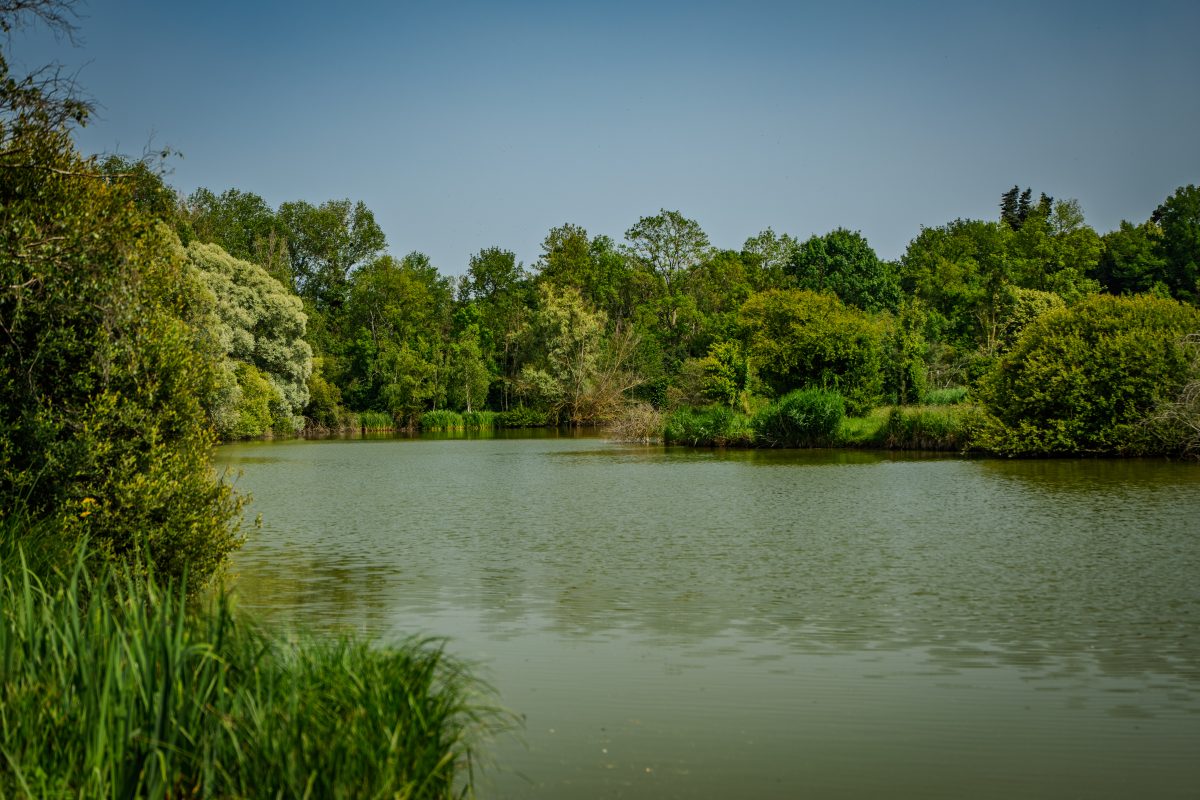 Plan d'eau de Verneuil