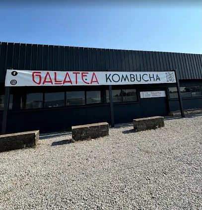 Galatea Kombucha